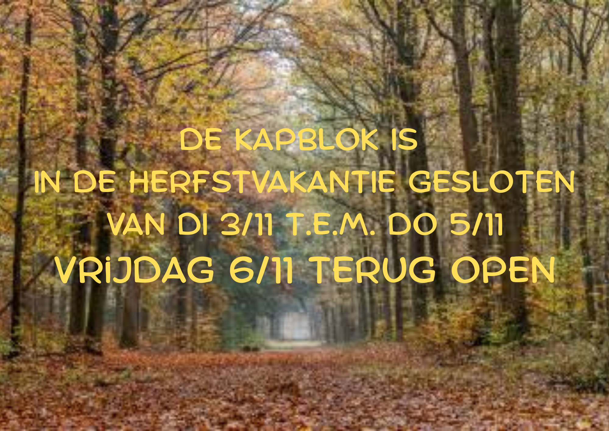 De KAPBLOK IS IN DE HERFSTVAKANTIE GESLOTEN VAN DI 311 t.e.m. DO 511 vijdag 611 terug open